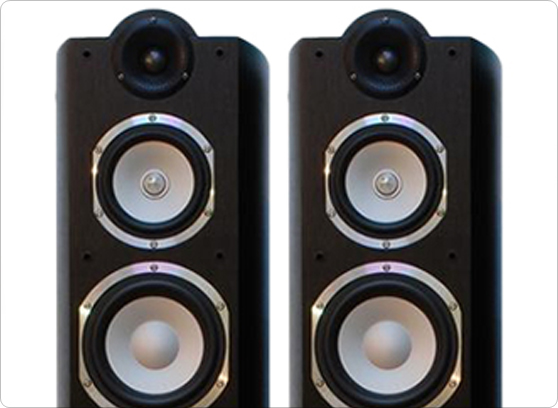 TAGA HARMONY PLATINUM F-100 SE V.2 - cecha 1